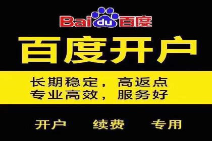 某行业头部企业信息流广告推广全解析